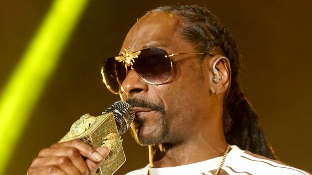 Snoop Dogg bashes Trump supporters
