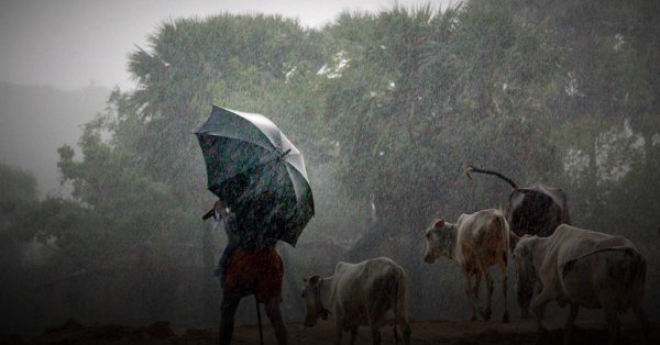Light rains, hailstorm likely in parts of Rajasthan