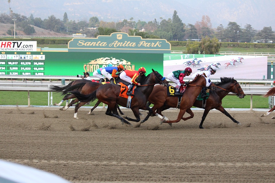Sports News Summary: Horse death toll at Santa Anita reaches 34