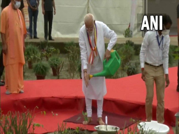 Abhidhamma Day: PM Modi plants sapling in UP's Kushinagar 