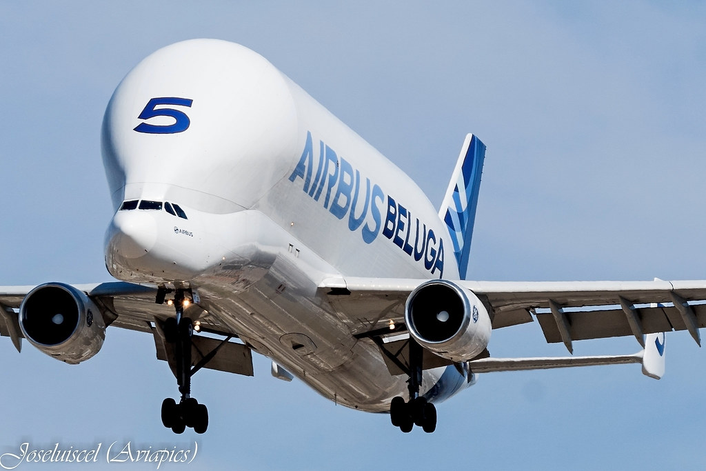 Frenzy among flyers as Airbus Beluga lands at Kolkata airport