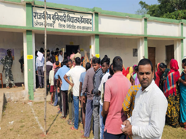 Maharashtra and Jharkhand Elections: Mixed Voter Turnout Reported