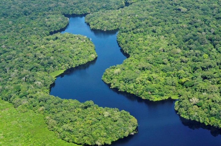 FEATURE-Battling 'biopiracy', scientists catalog the Amazon's genetic wealth