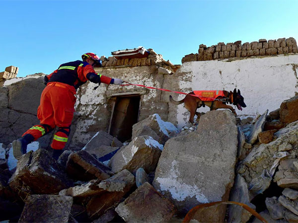 Tibet Jolted by Dual Earthquakes Amid Ongoing Seismic Activity