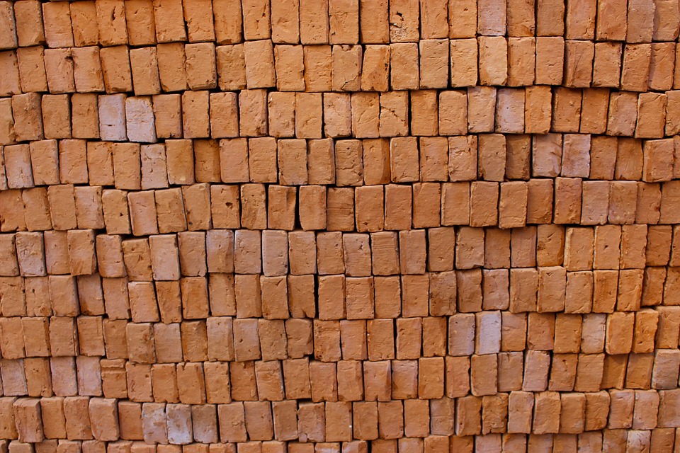 Haryana brick kiln workers protest in Delhi