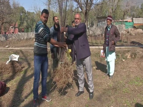 Horticulture Department provides subsidies to farmers to boost fruit plantation in J-K's Poonch