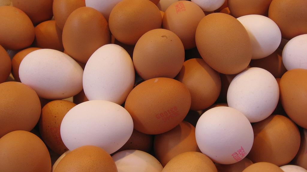 Tesco and Aldi provide extra 26.4 mln pounds to support British egg industry