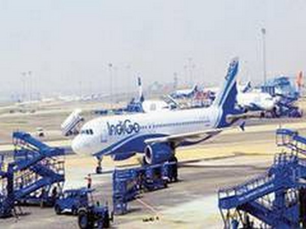 IndiGo aircraft parked at Mumbai airport hit by step ladder amid strong winds