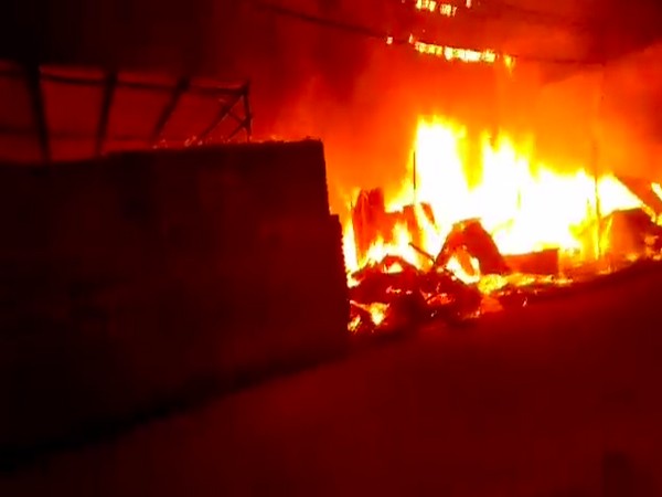 Fire breaks out at furniture warehouse in Delhi's Bhalswa area