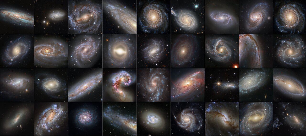 Check out this dazzling collection of supernova host galaxies from Hubble telescope