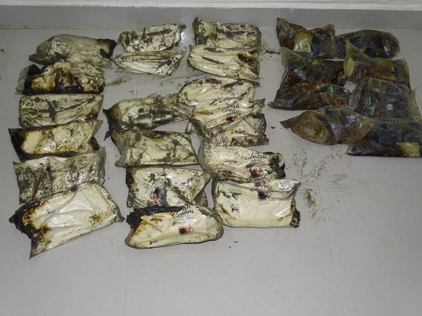 Guj: 18 packets of charas recovered along Kutch coast in two days