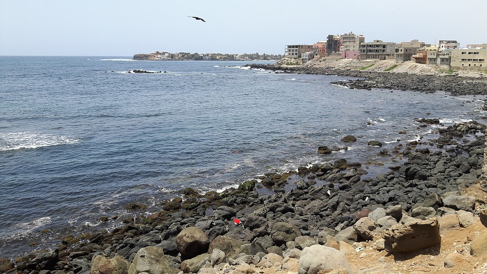 Senegal's Economy Shows Resilience in 2023 Amid Political Tensions and Inflation Challenges