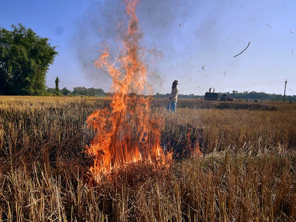 Centre asks Punjab, Haryana to strive for achieving zero stubble burning 