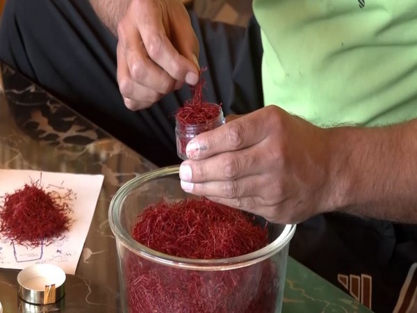 Kashmir's Saffron Farmers Grapple with Climate Change Amid Struggle for Survival