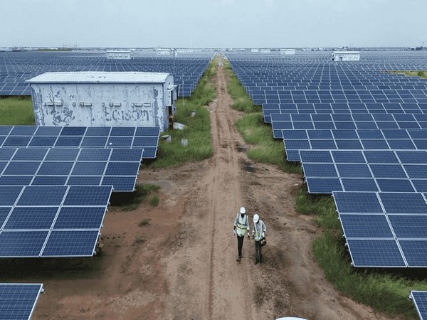 Gujarat Leads India's Renewable Energy Revolution