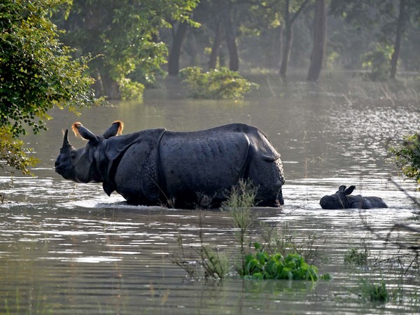 Dr Bibhab Talukdar Lauds PM Modi’s Rhino Conservation Efforts Ahead of World Rhino Day