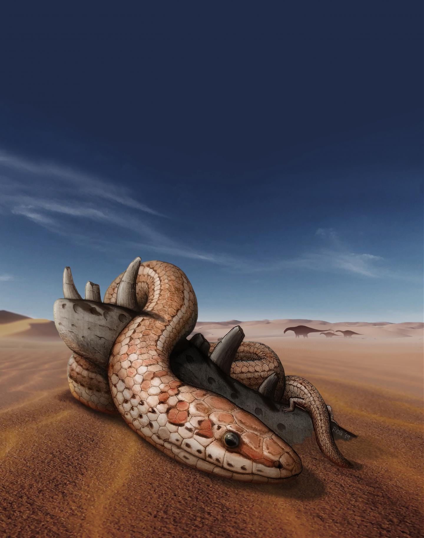 Ancient snake fossil sheds light on evolution of modern snake skulls