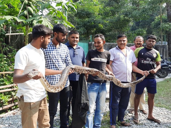 West Bengal: 10ft-long Burmese python rescued by forest officials in Siliguri