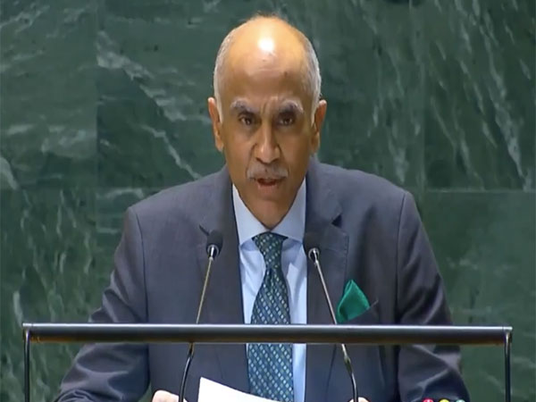 India Calls for Fairness in UN Security Council Veto Power