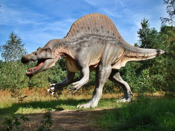 Science News Roundup: Dinosaurs displayed a fast growth rate from the very beginning