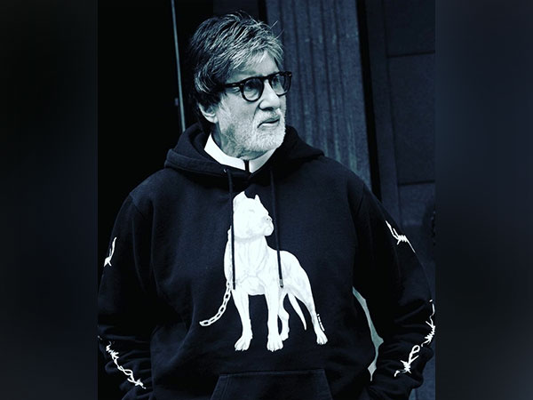 When Big B had to fight real tiger in the film 'Khoon Pasina'