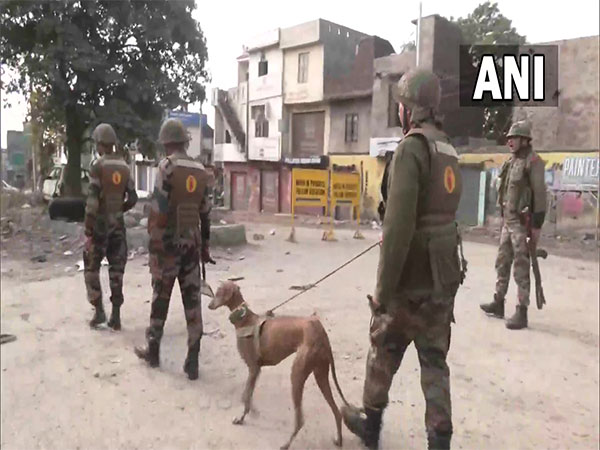 Narwal twin blasts: Army dog unit, bomb squad investigate explosion site