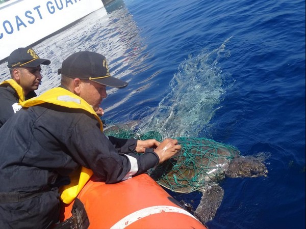 ICG ship rescues 2 sea turtles off Minicoy Island in Lakshadweep