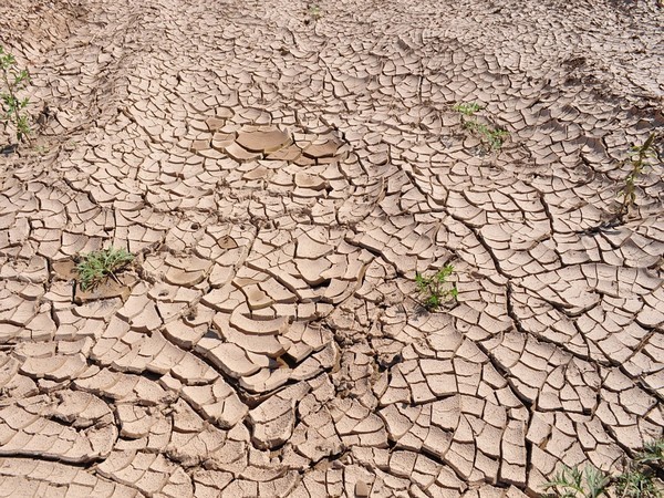 Pakistan Braces for Worsening Drought as Rainfall Plummets