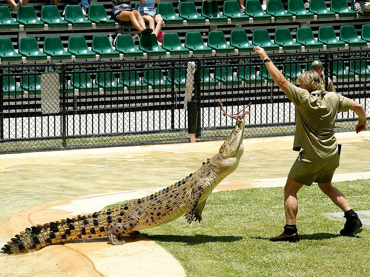 Steve Irwin, Google celebrates 'The Crocodile Hunter' 57th Birthday with a doodle