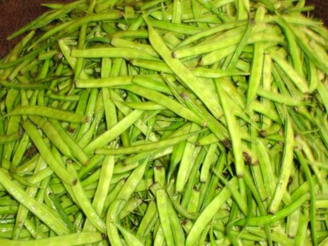 Guar gum prices fall by Rs 39 to Rs 8,750 per 5 quintal in futures trade 