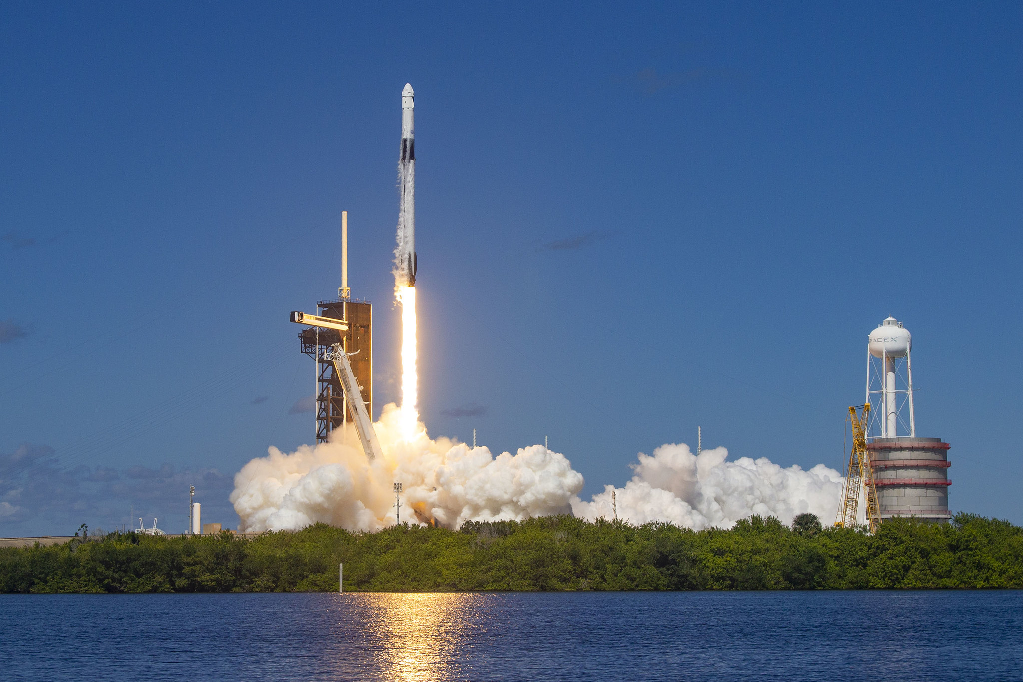 Science News Roundup: SpaceX's third Starship test flight gets FAA green light; Why did menopause evolve? New study of whales gives some clues and more