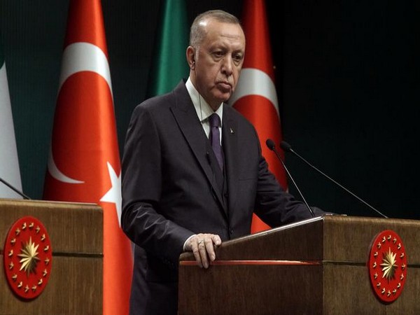 Turkey's Erdogan calls for end to "worrying" developments in eastern Ukraine, offers support
