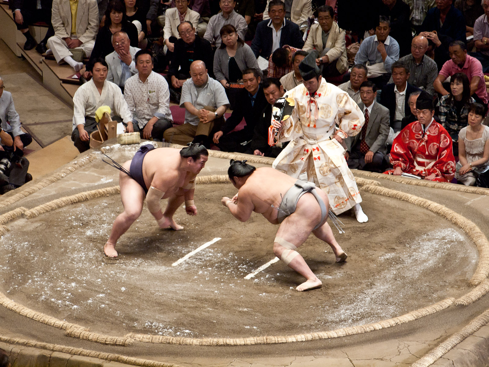 Sumo-Wrestler offers to retire after clubs visits: Kyodo