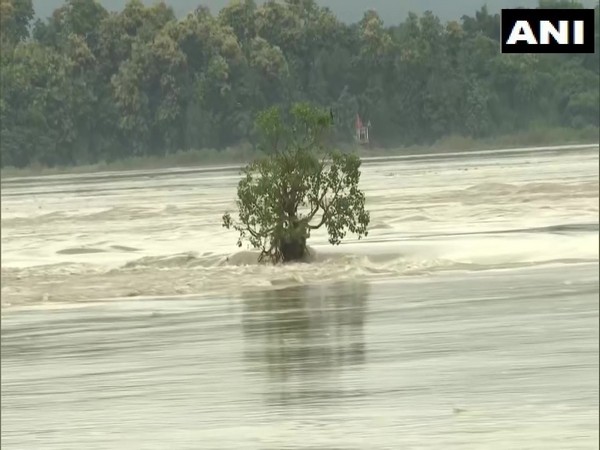 Assam floods: 4 more dead; governor makes aerial survey