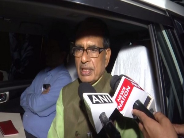 Delhi visit productive as Madhya Pradesh's development was discussed, says Chouhan 