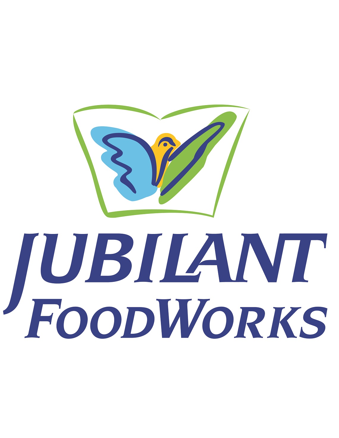 Jubilant Foodworks bullish about medium-term market potential in India