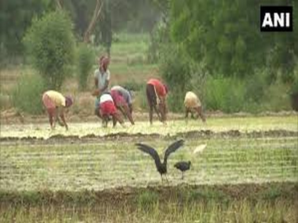 Single application on MahaDBT portal to help farmers: Bhuse