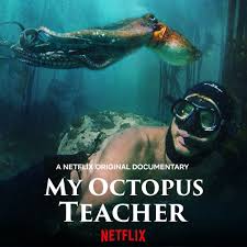 'My Octopus Teacher' bags top tve global sustainability film award