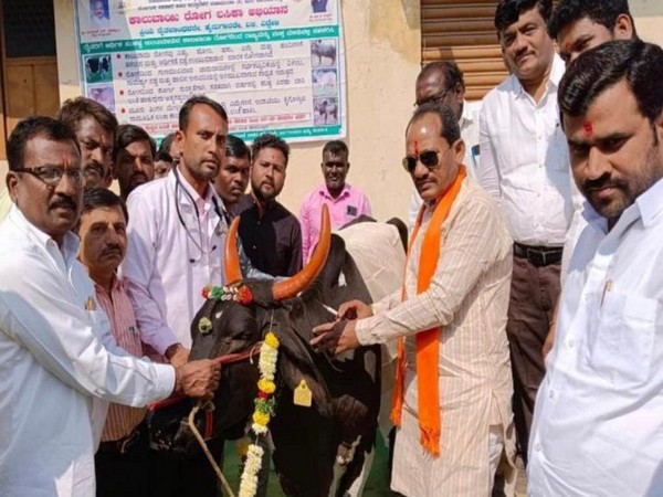 Karnataka vaccinates over 31 lakh cattle against foot and mouth disease 