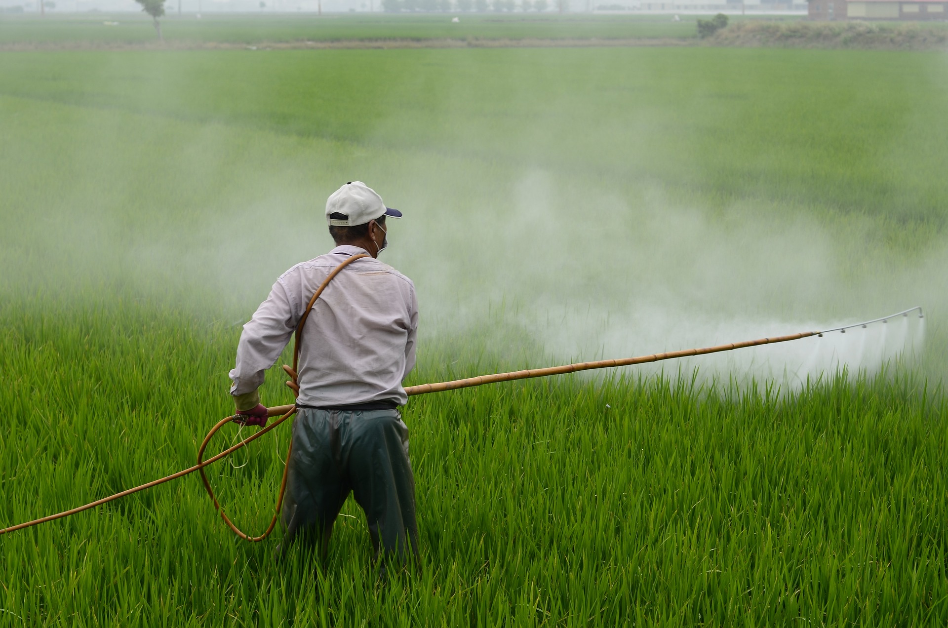 Unable to identify replacement, Mexico delays ban on herbicide glyphosate