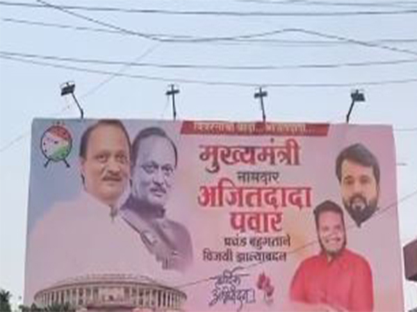 Maharashtra Election Tensions Rise as Posters Pulled Down