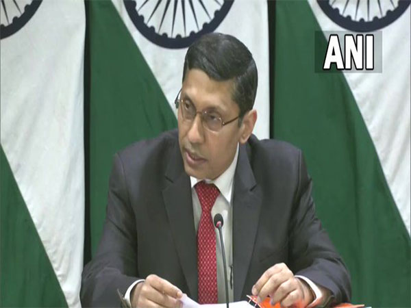 India working with international partners against terrorism: MEA