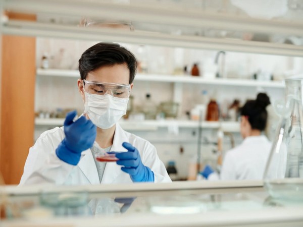 Research reveals gender bias in lab groups not rooted in personal preference