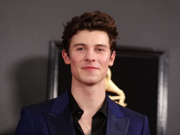 Shawn Mendes tumbles while posing for shirtless photo