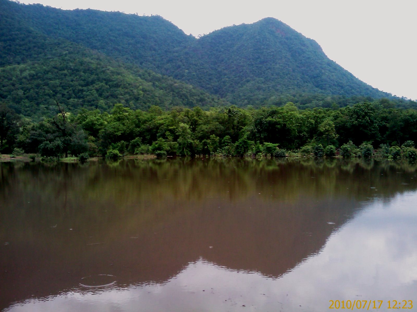 Gandhamardan Hills gets Biodiversity Heritage Site tag