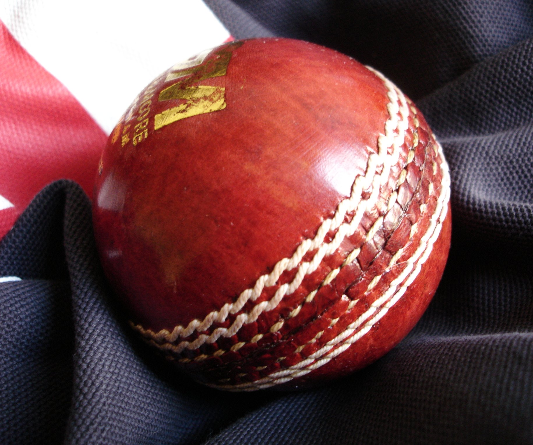 Neither court nor CoA but elected bodies should run cricket: Amicus Curiae Narsimha