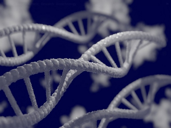 Whether you followed lockdown rules may have been influenced by your genetics – new research