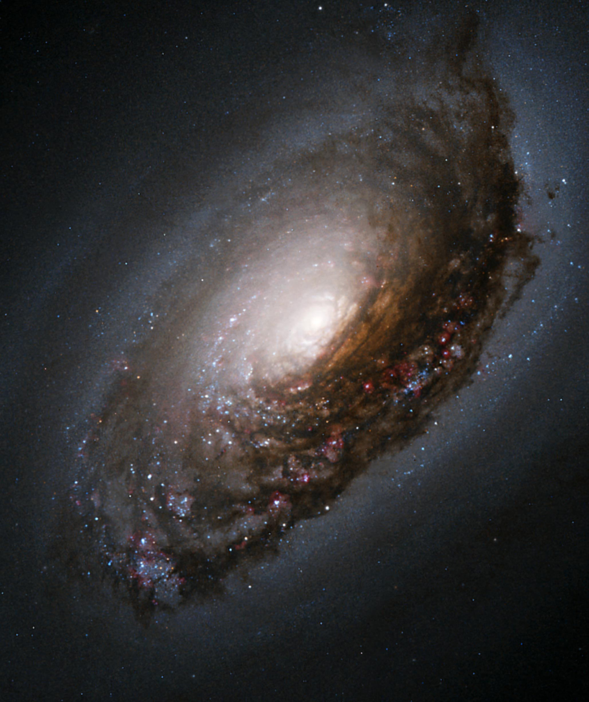 Hubble captures cosmic black eye 17 million light-years away from Earth