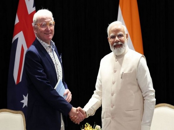 "UPI is a wonderful example of how India can do things itself," Toby Walsh, professor, University of New South Wales