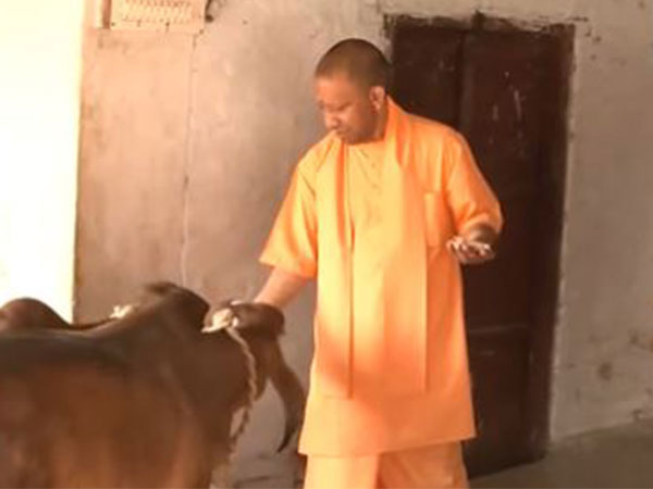 UP: CM Yogi offers prayers at Devi Patan temple in Balrampur